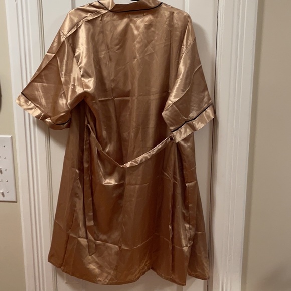 Silky golden Teddy XL/ XXL - Picture 13 of 14